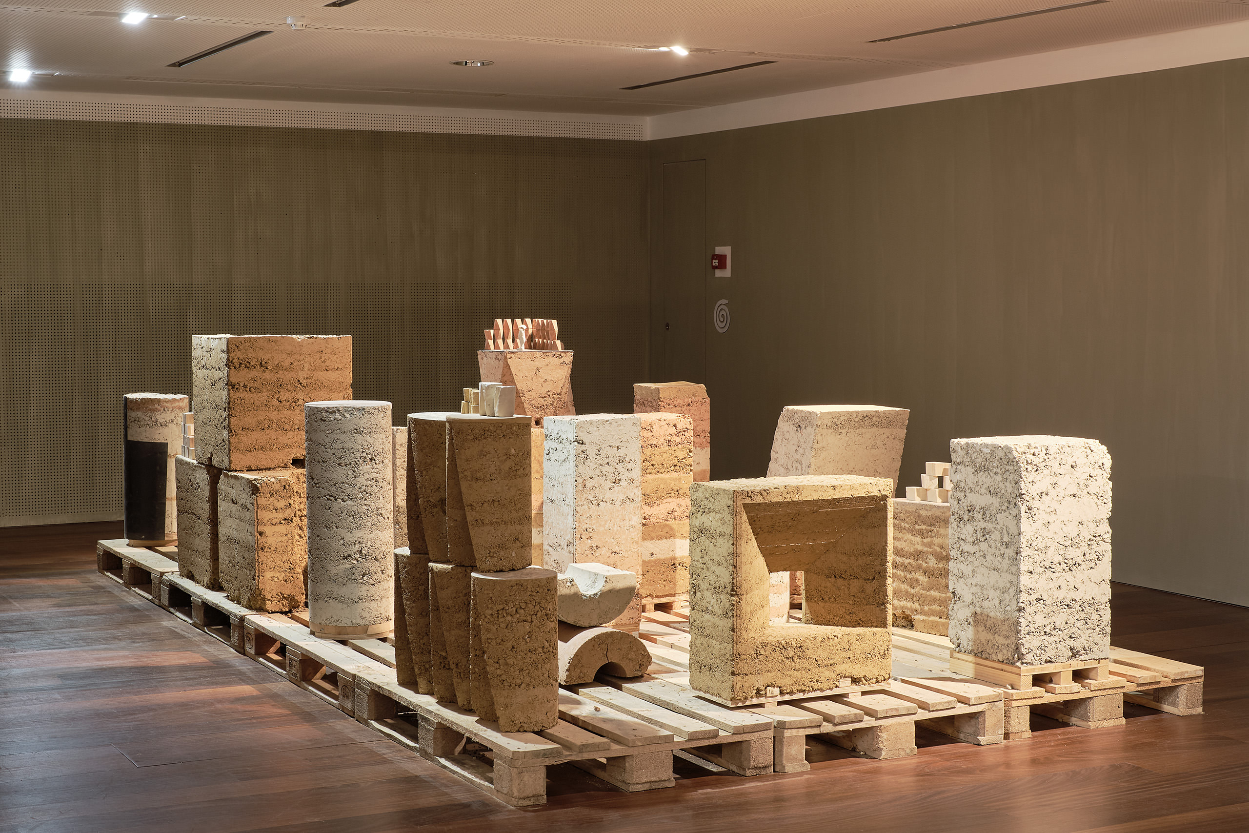 E19726 Fuji 8132 SCREEN